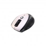 PRESTIGIO PMSOW03, Sidabrinė