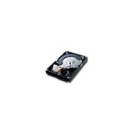 SAMSUNG SpinPoint F3 3.5",1TB,32MB,SATA II-300