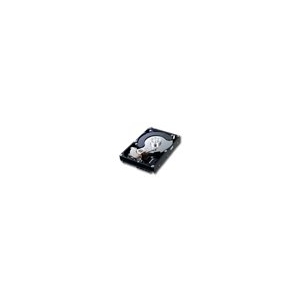 SAMSUNG SpinPoint F3 3.5",1TB,32MB,SATA II-300