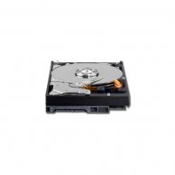 WESTERN DIGITAL 3.5", 320GB, 32MB, SATA III-600